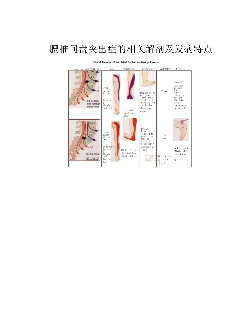 人工全膝关节置换手术 技术汇总_第9页