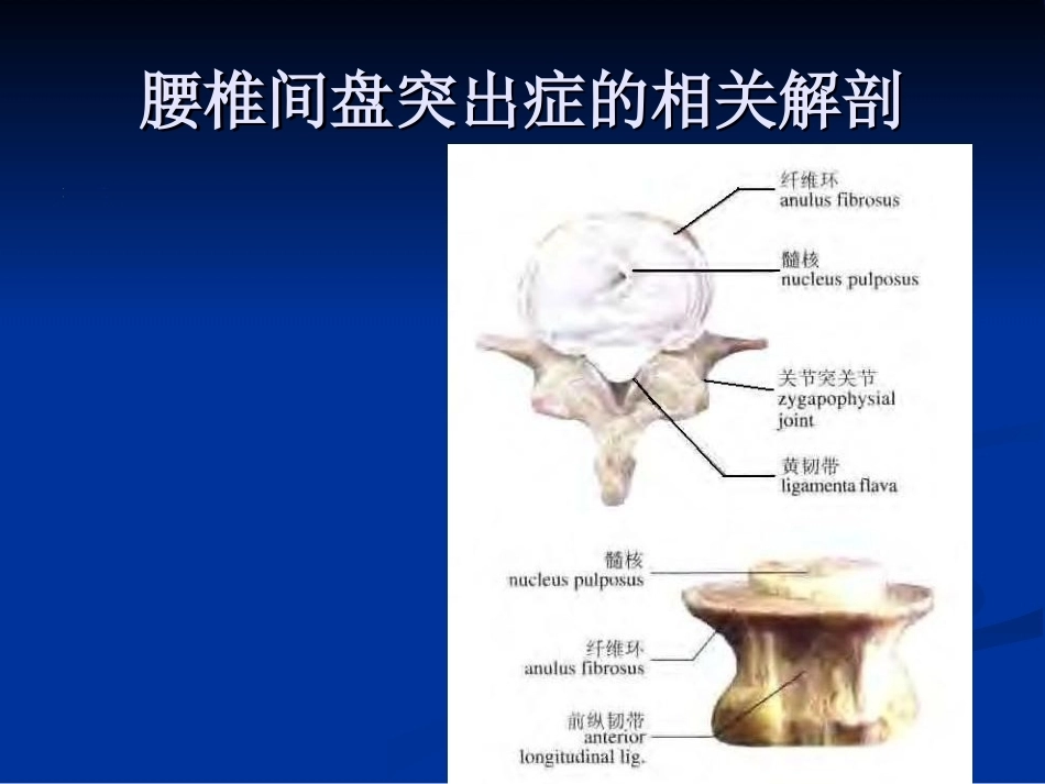 腰椎间盘突出症的诊断与鉴别诊断_第5页