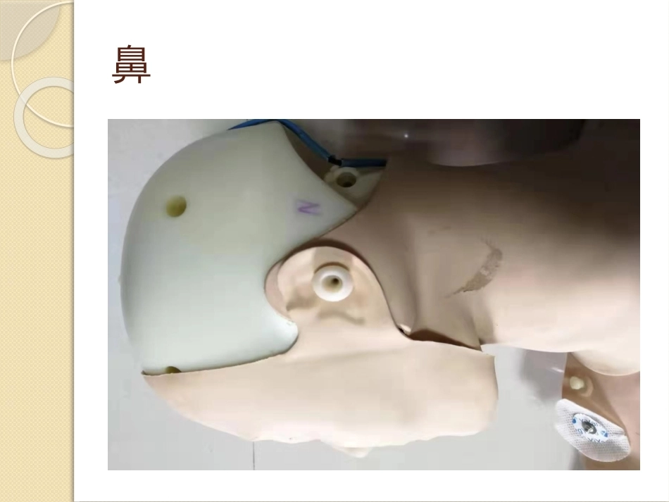 手术 部位标记制度_第11页