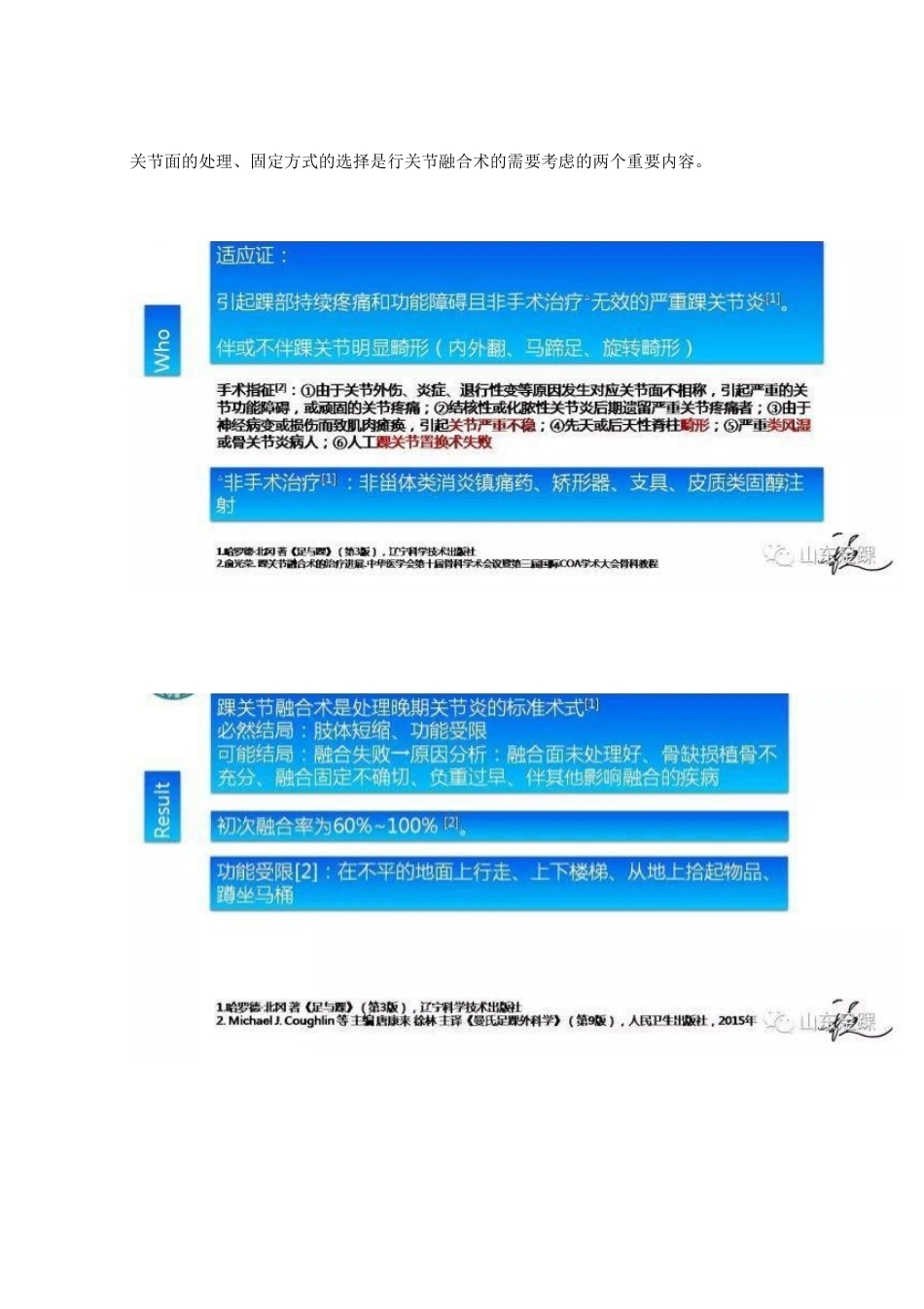 踝关节融合术的基本 手术策略与技巧_第2页