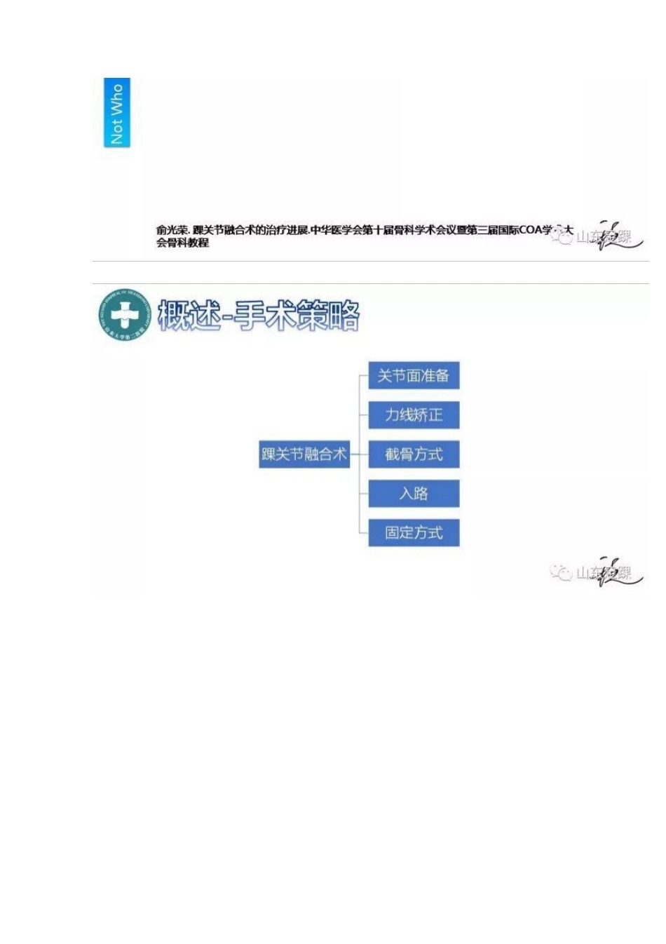 踝关节融合术的基本 手术策略与技巧_第5页