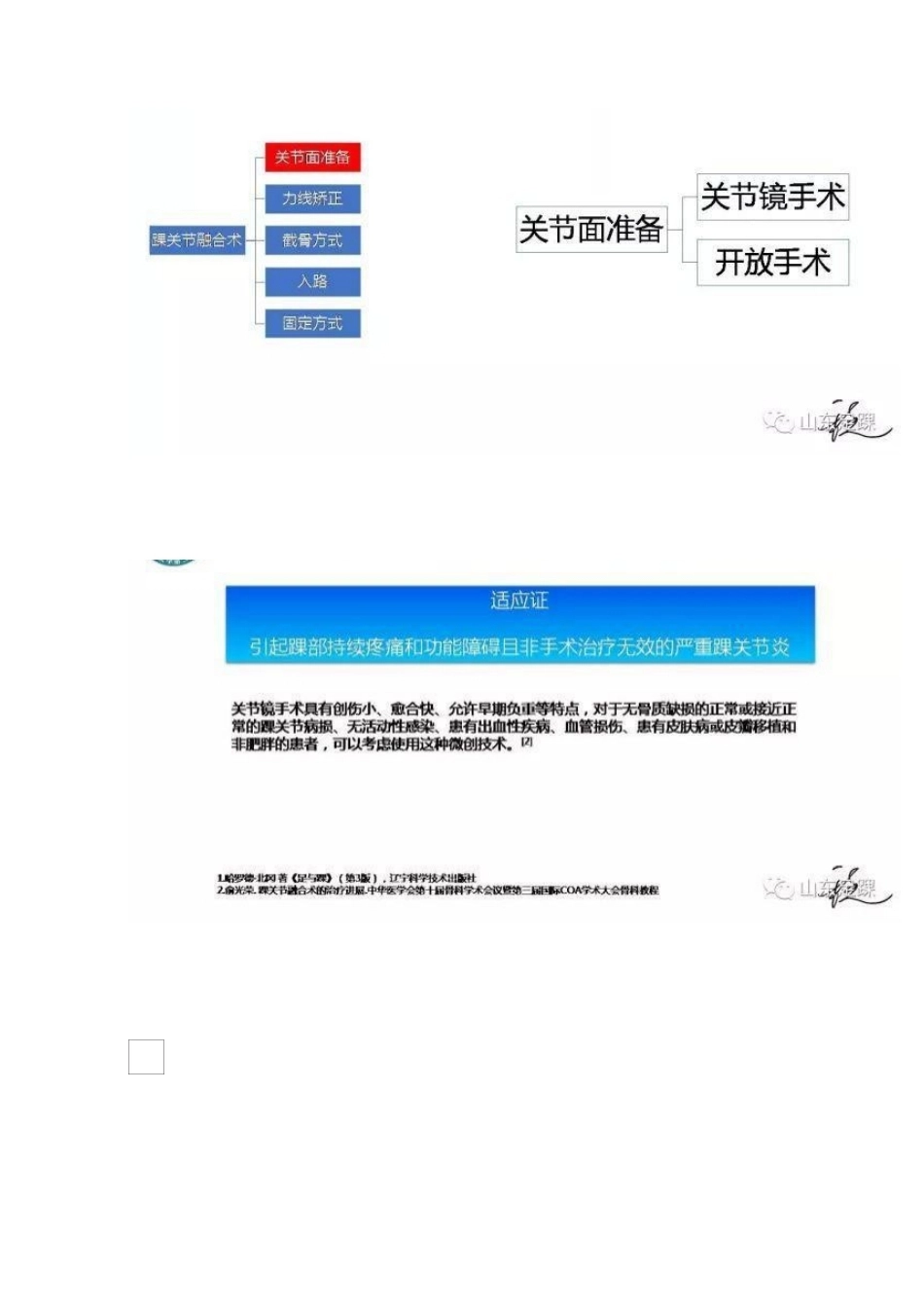 踝关节融合术的基本 手术策略与技巧_第6页