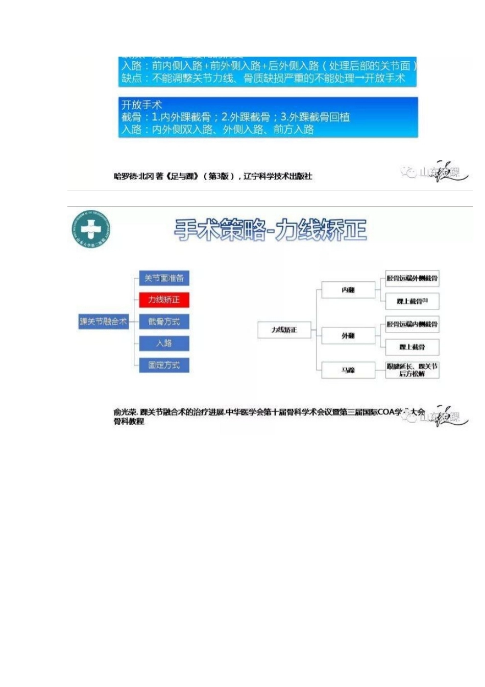 踝关节融合术的基本 手术策略与技巧_第7页