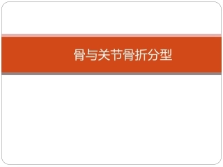 骨与关节骨折分型