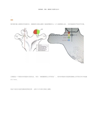 胸椎颈椎腰椎椎弓根置钉技术