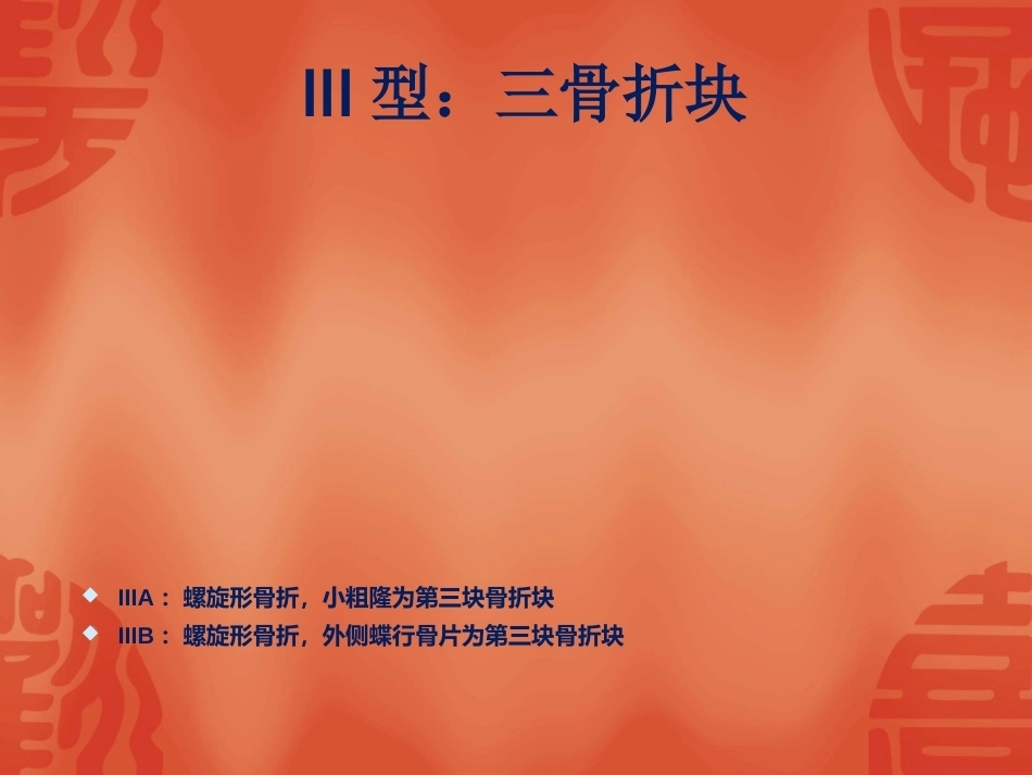 骨折常用分型_第15页