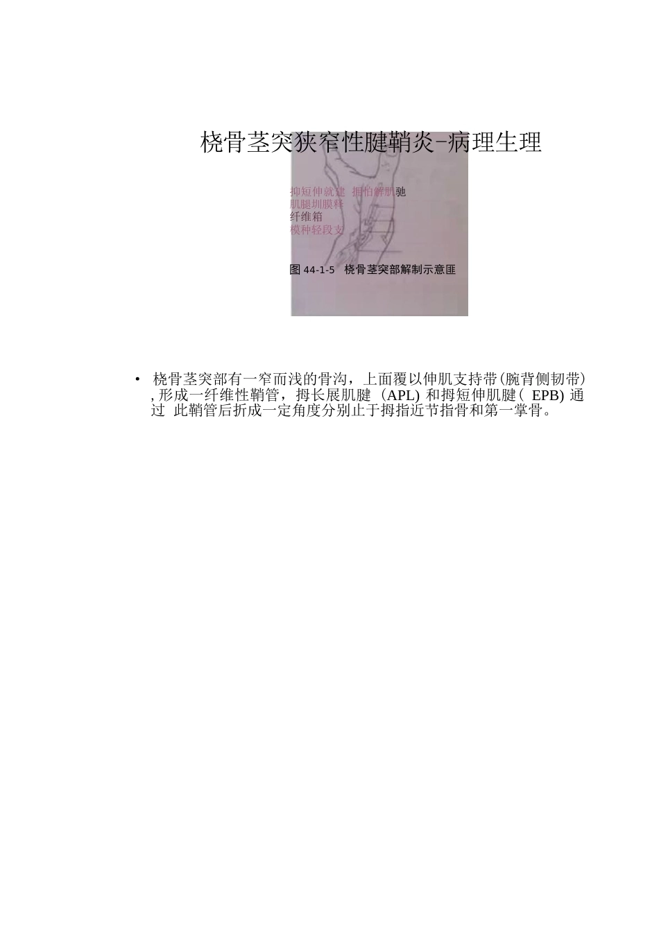 狭窄性 腱鞘炎的诊断及治疗_第12页
