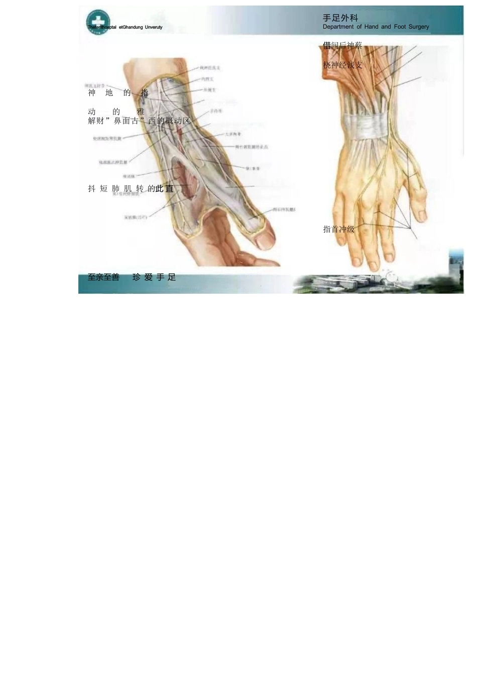 狭窄性 腱鞘炎的诊断及治疗_第8页