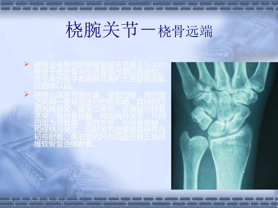 骨科colles-fracture_第6页