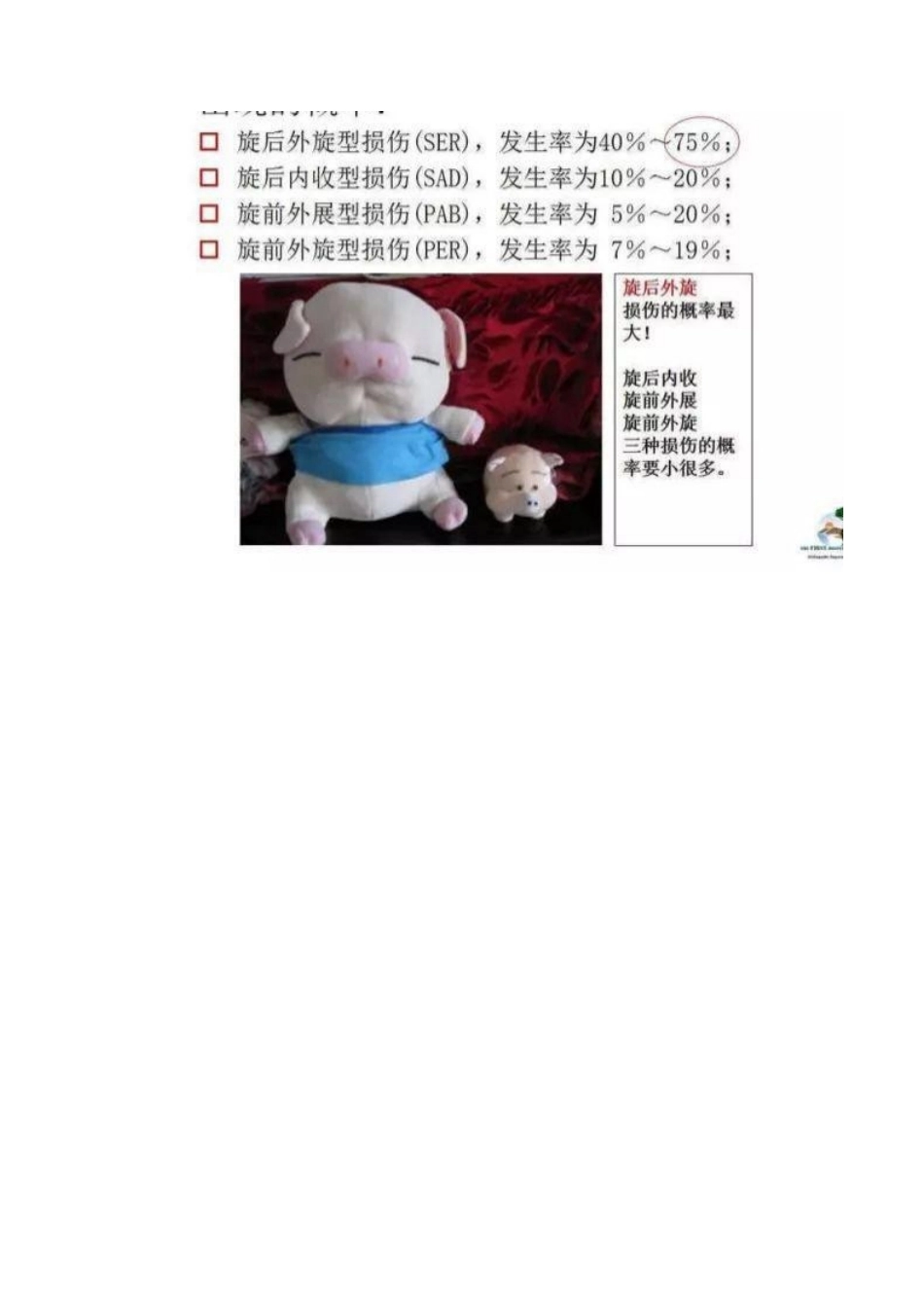 踝关节骨折Lauge-Hansen分型_第6页