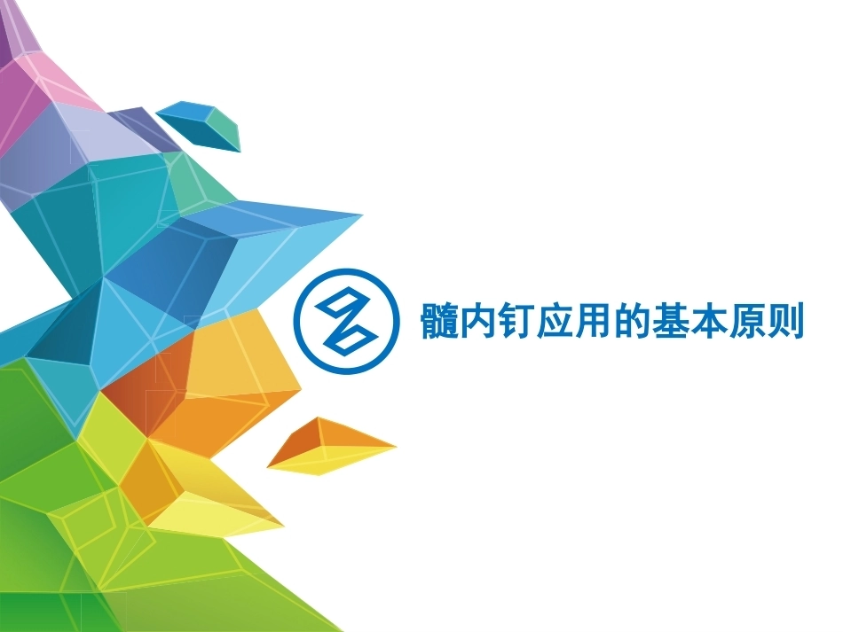 髓内钉应用的基本原则--HYS_第1页