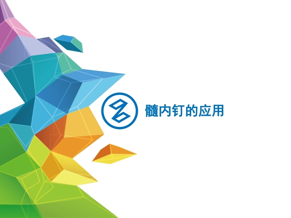 髓内钉应用的基本原则--HYS_第9页
