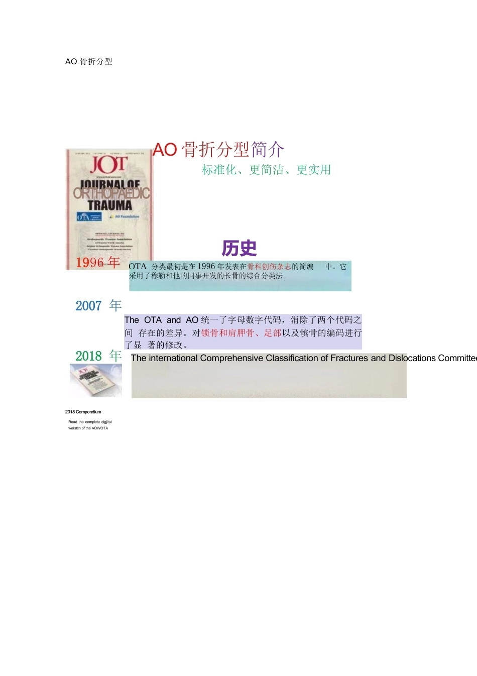 AO骨折分型（四肢版）_第1页