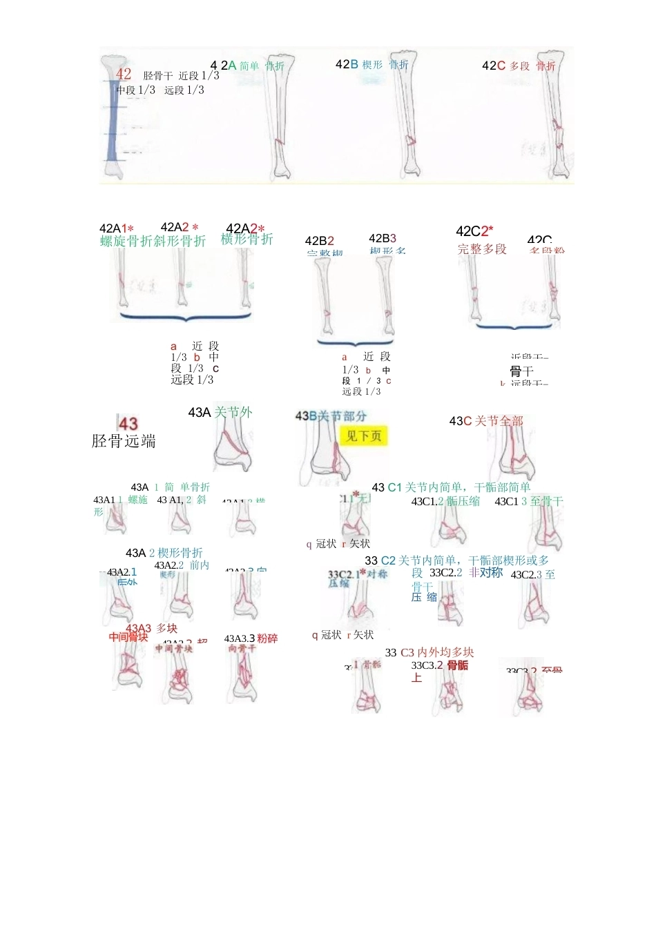 AO骨折分型（四肢版）_第12页