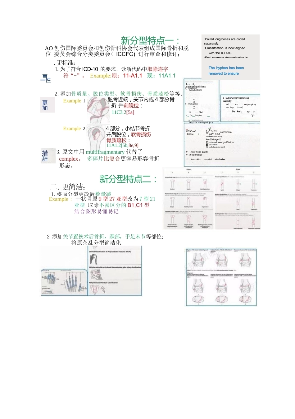 AO骨折分型（四肢版）_第2页