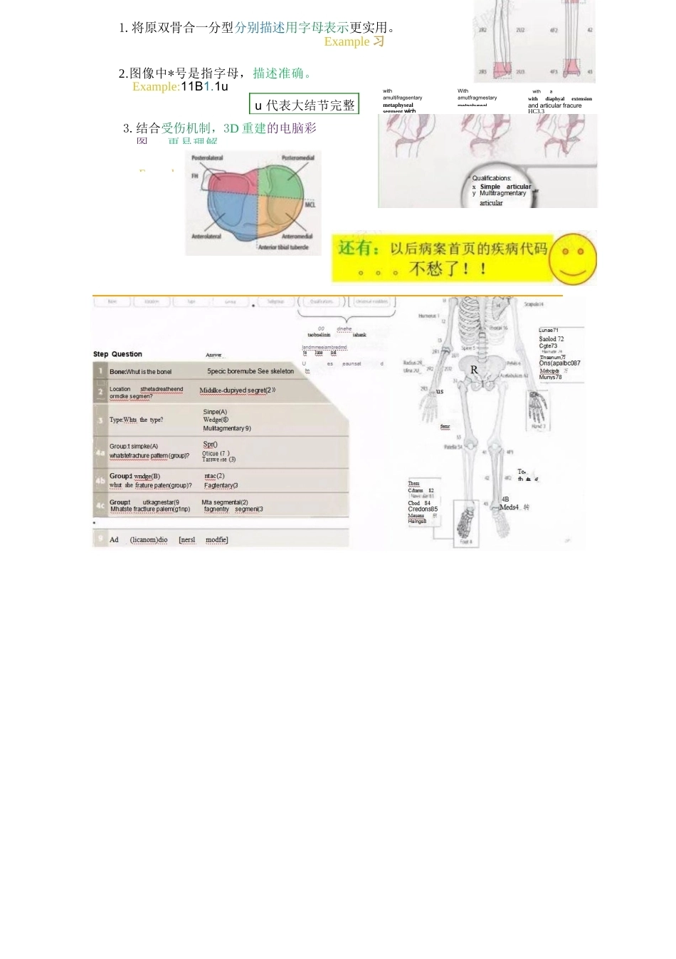 AO骨折分型（四肢版）_第4页