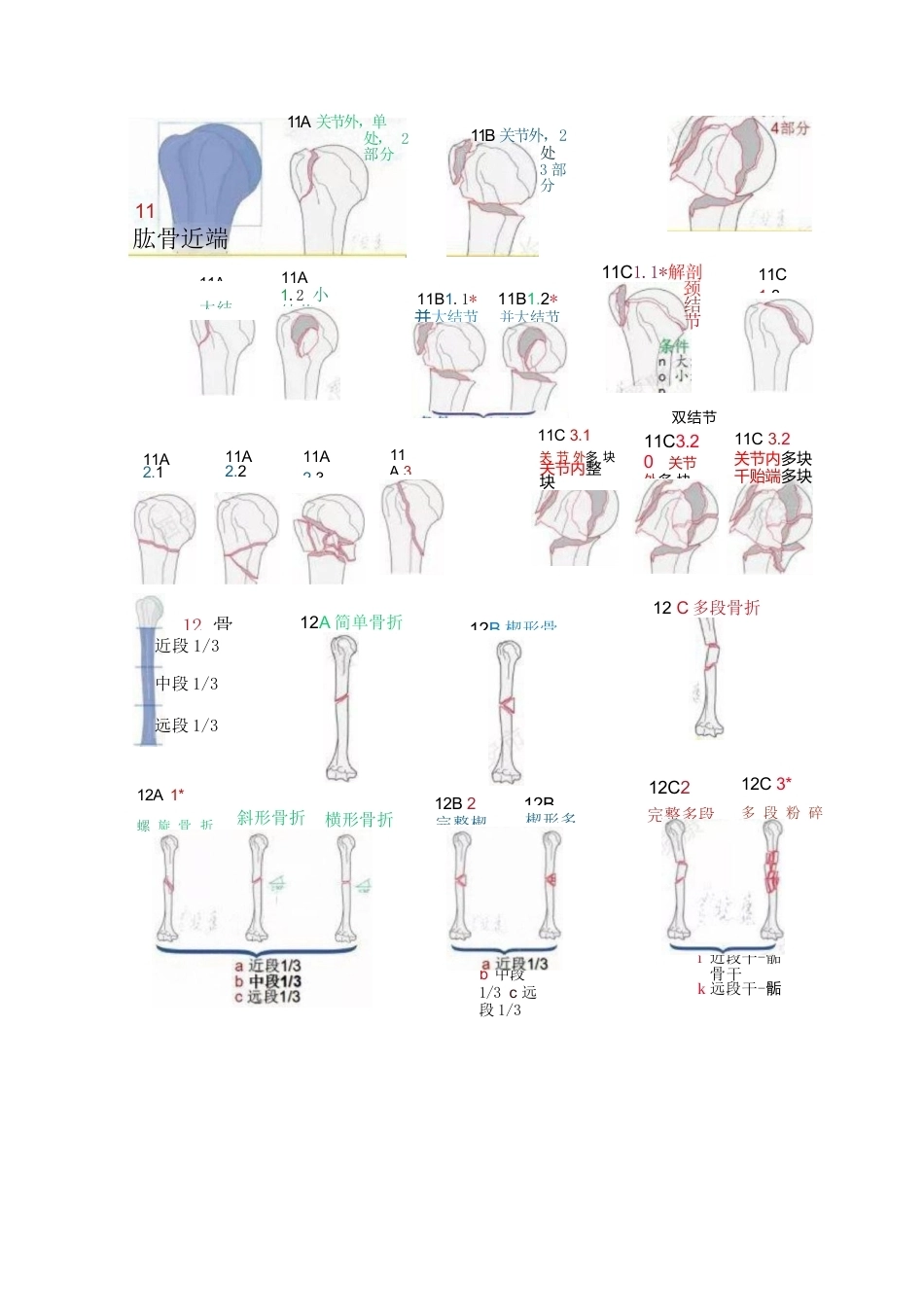 AO骨折分型（四肢版）_第5页