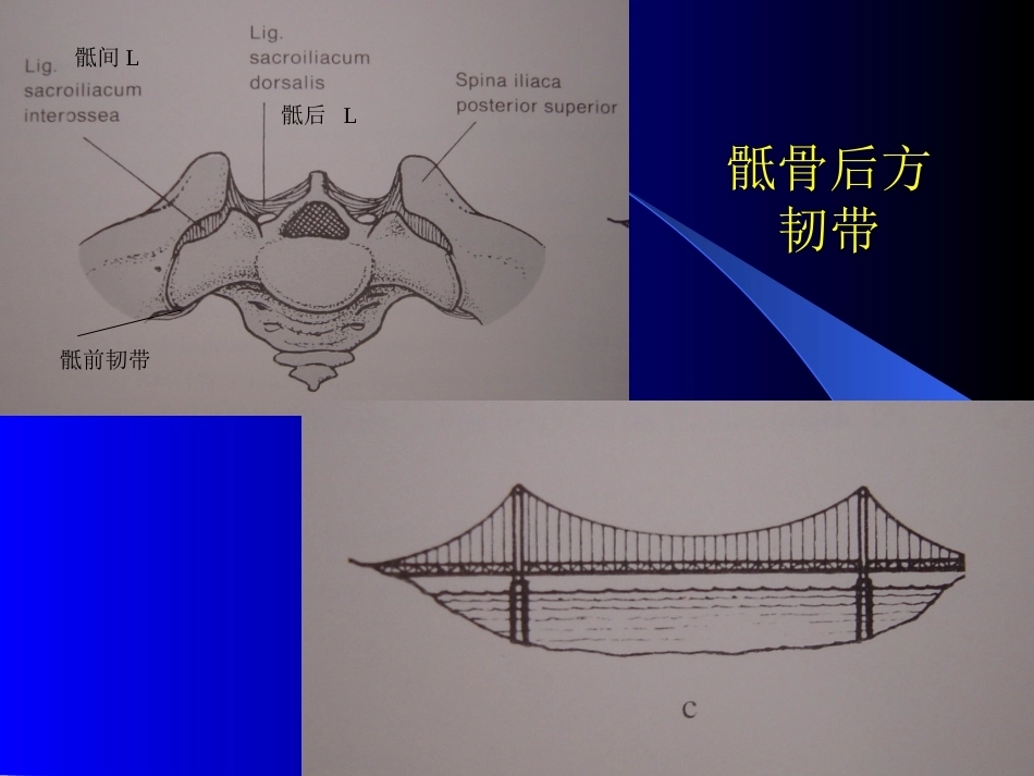 骨盆骨折-诊断与分型_第7页