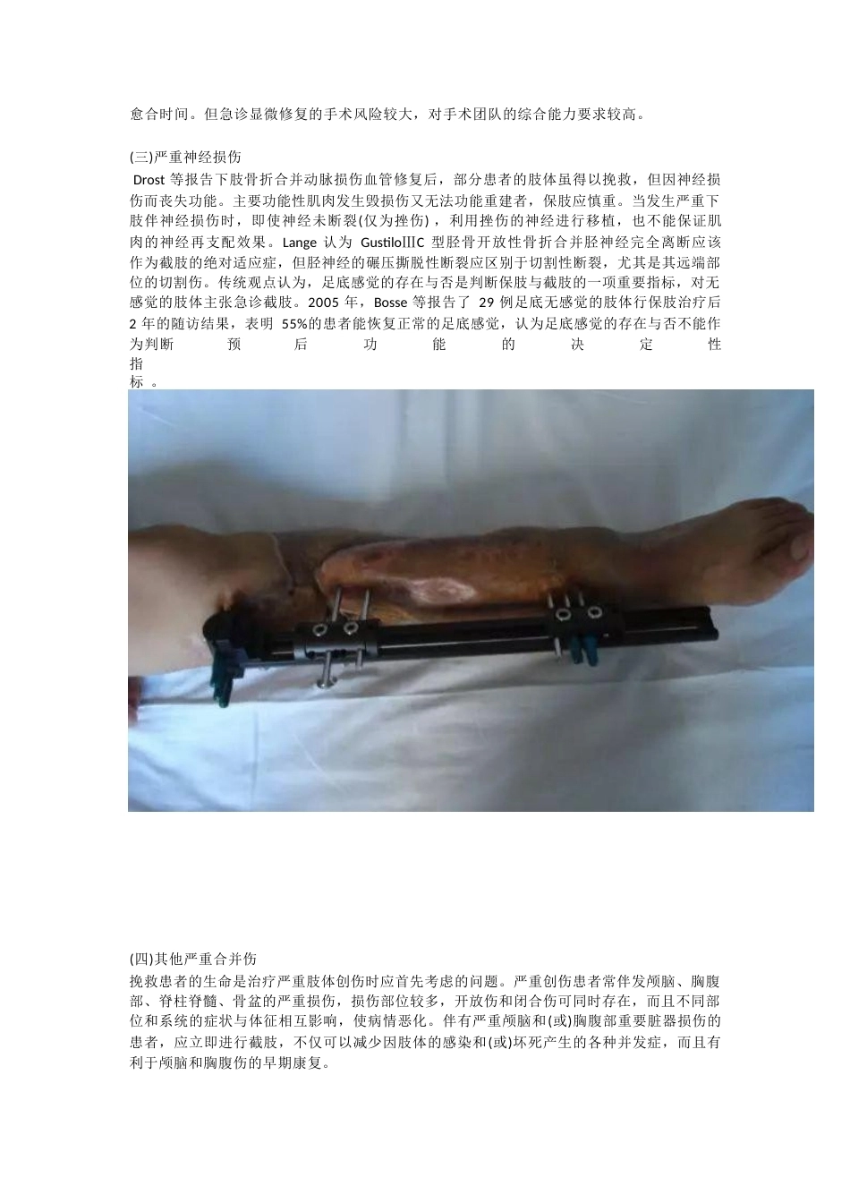 严重创伤保肢与截肢的 标准指征_第5页