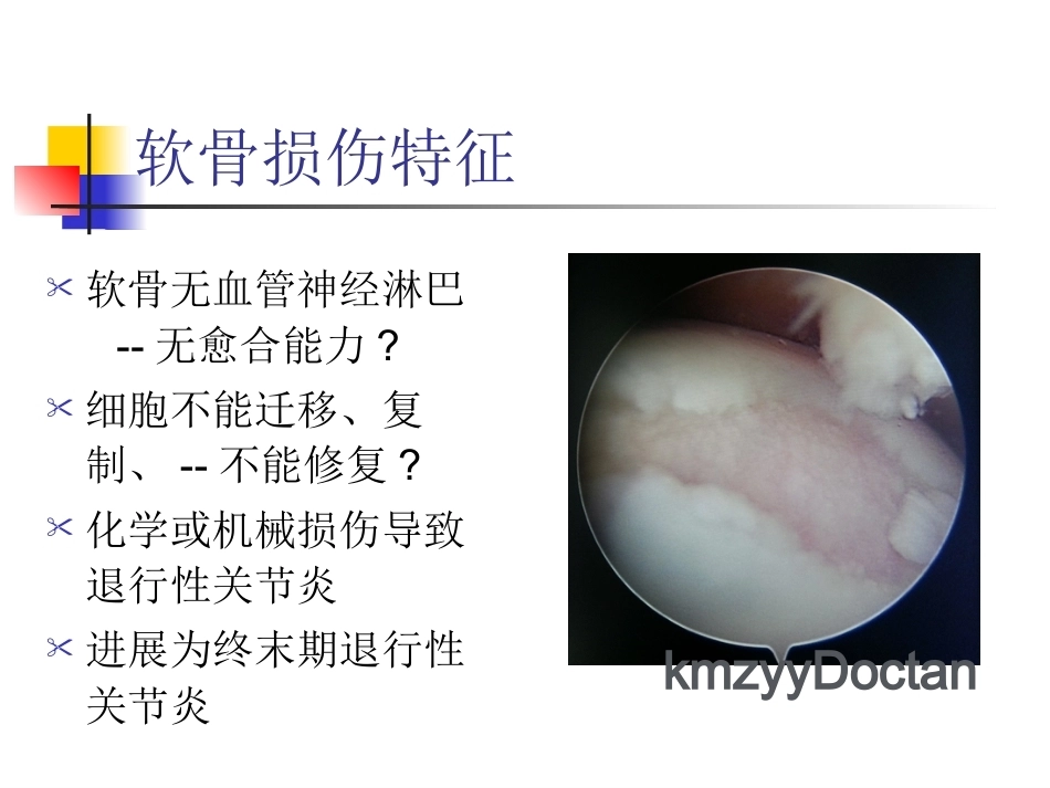 软骨修复_第5页