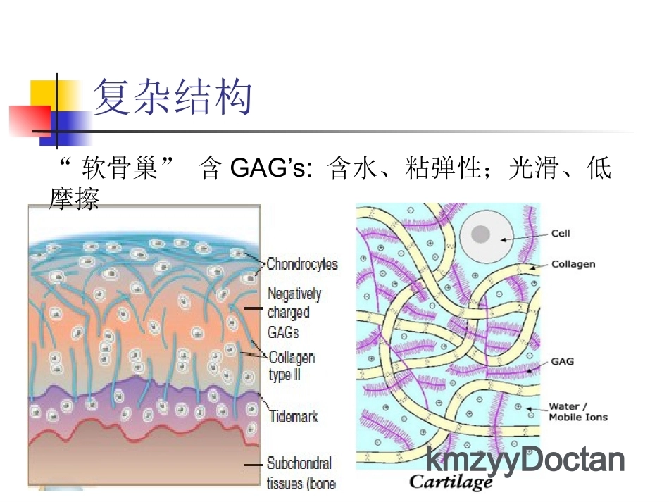 软骨修复_第6页