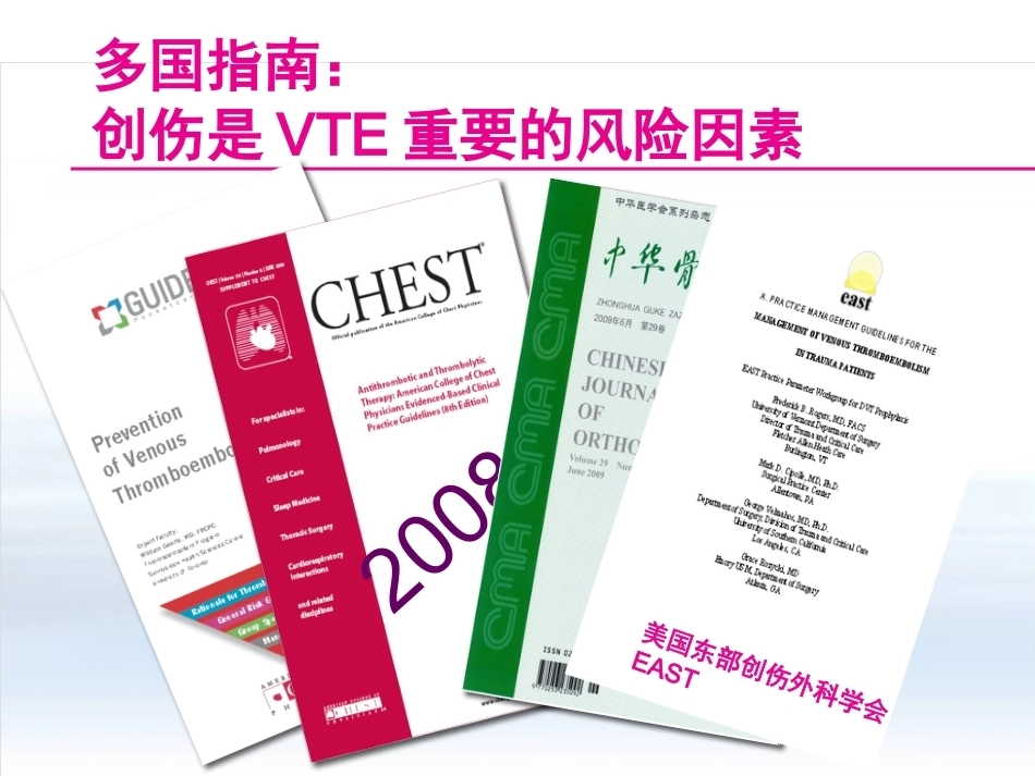 创伤骨科患者的VTE预防_第13页