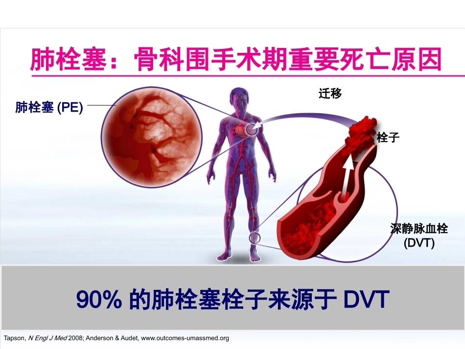 创伤骨科患者的VTE预防_第5页