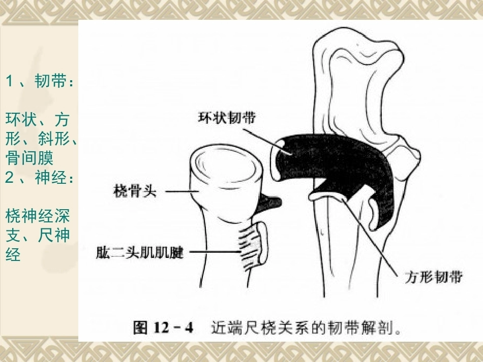孟氏骨折_第5页