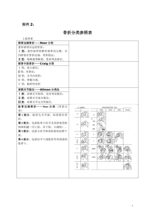 骨折分型参照表