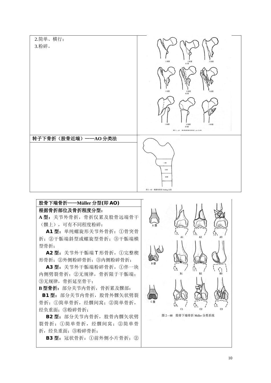 骨折分型参照表_第10页