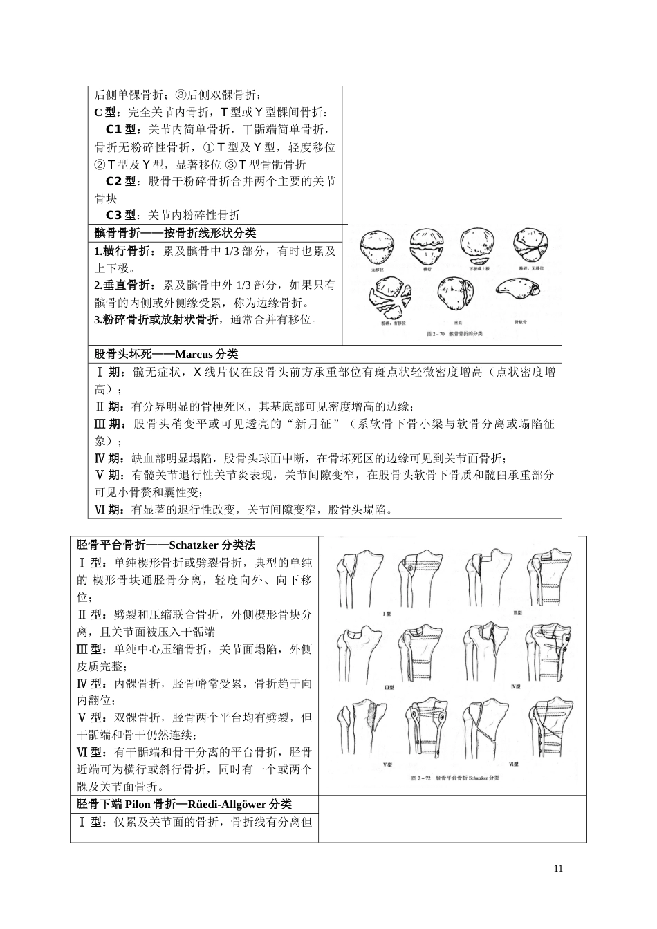 骨折分型参照表_第11页