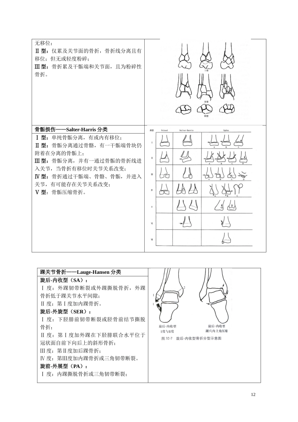 骨折分型参照表_第12页