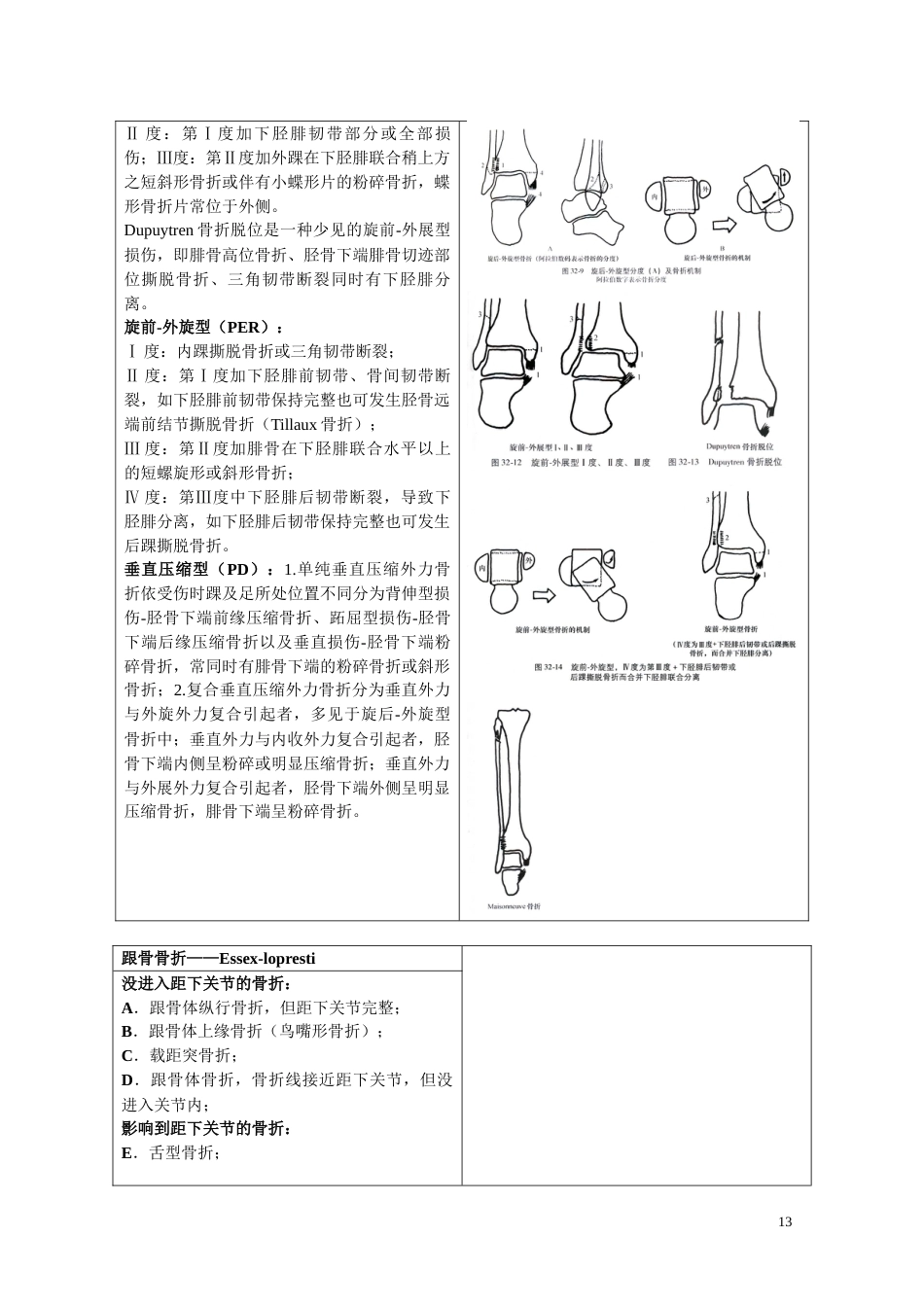 骨折分型参照表_第13页