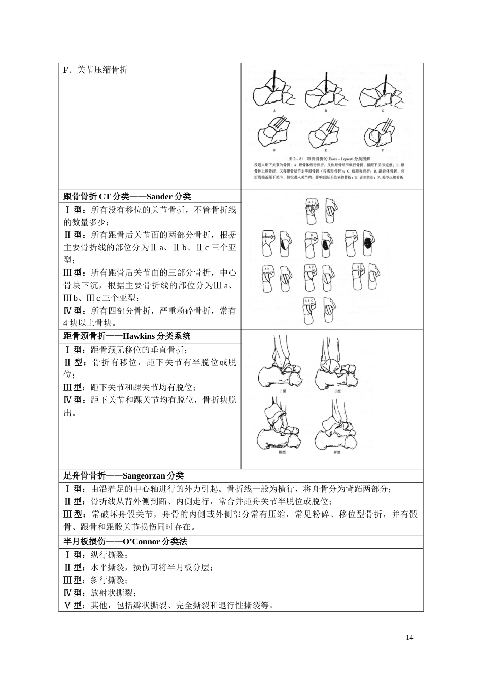 骨折分型参照表_第14页
