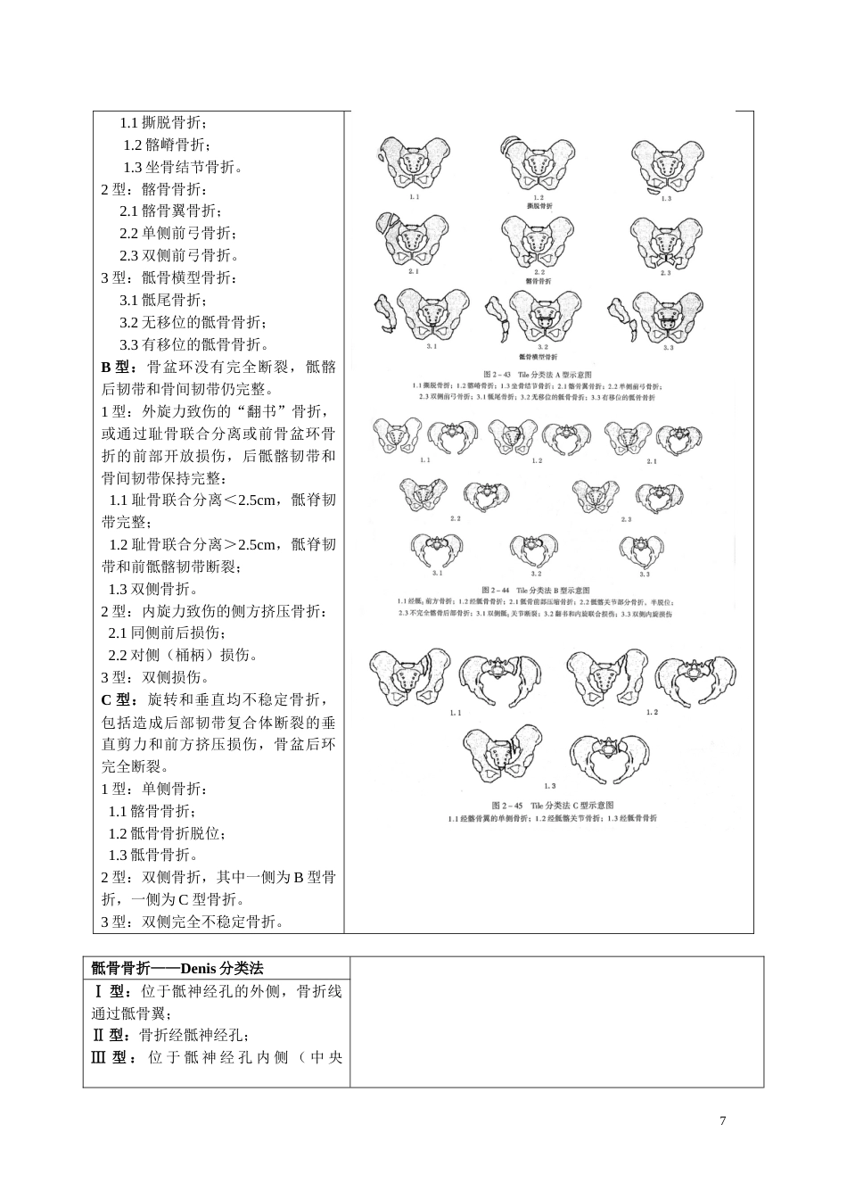 骨折分型参照表_第7页