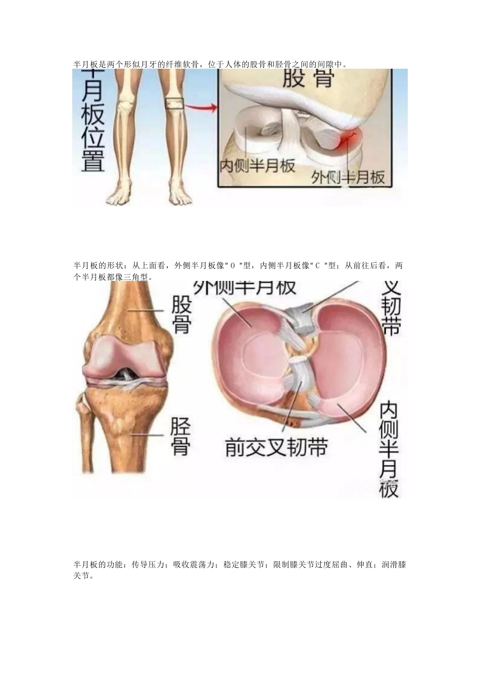 半月板的损伤 及治疗_第1页