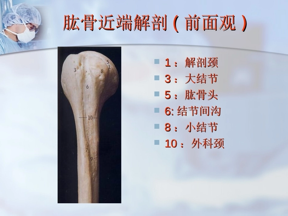 肱骨近端骨折分型与处理_第7页