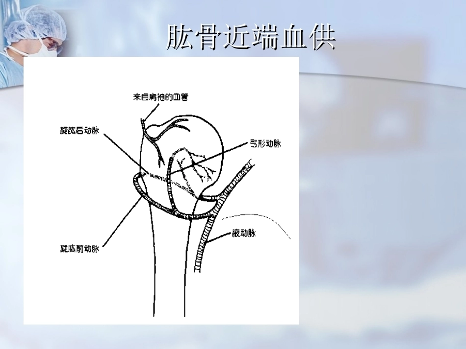 肱骨近端骨折分型与处理_第9页