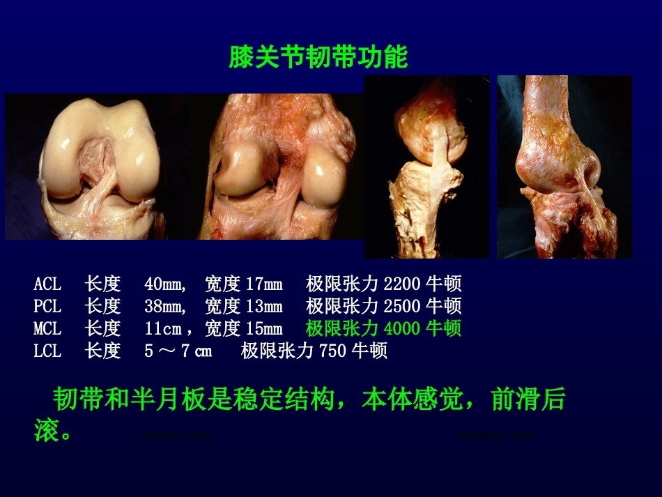 单髁置换治 疗膝关节OA的_第11页