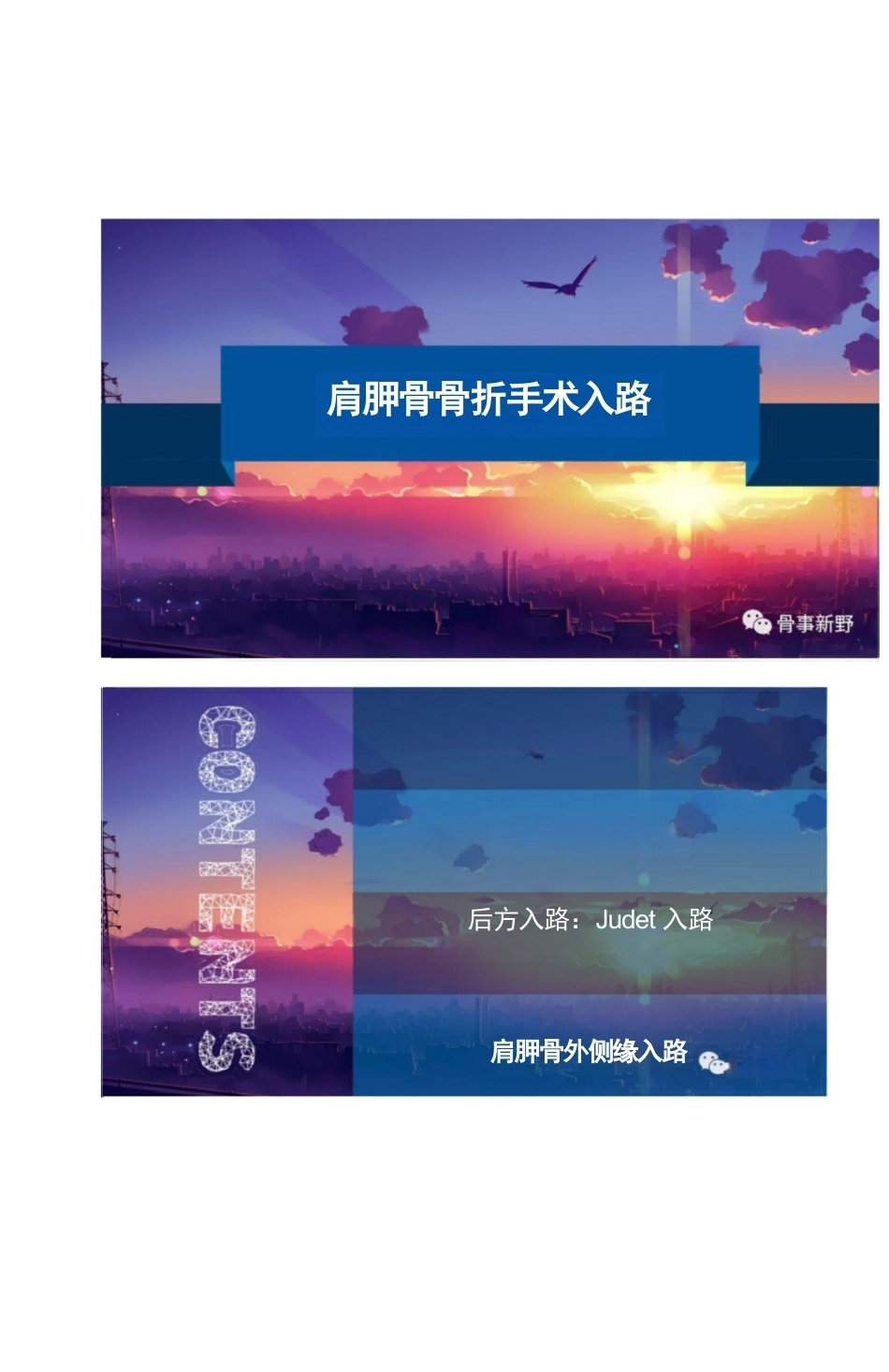肩胛骨骨折的手术 入路解析_第1页