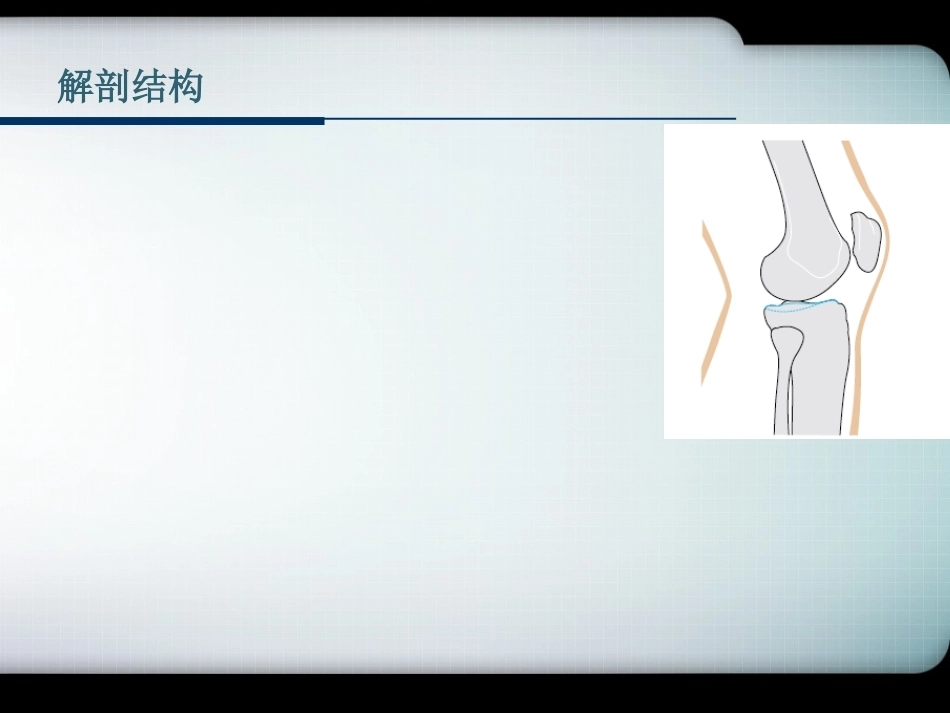 胫骨平台骨折的诊断与分型_第15页