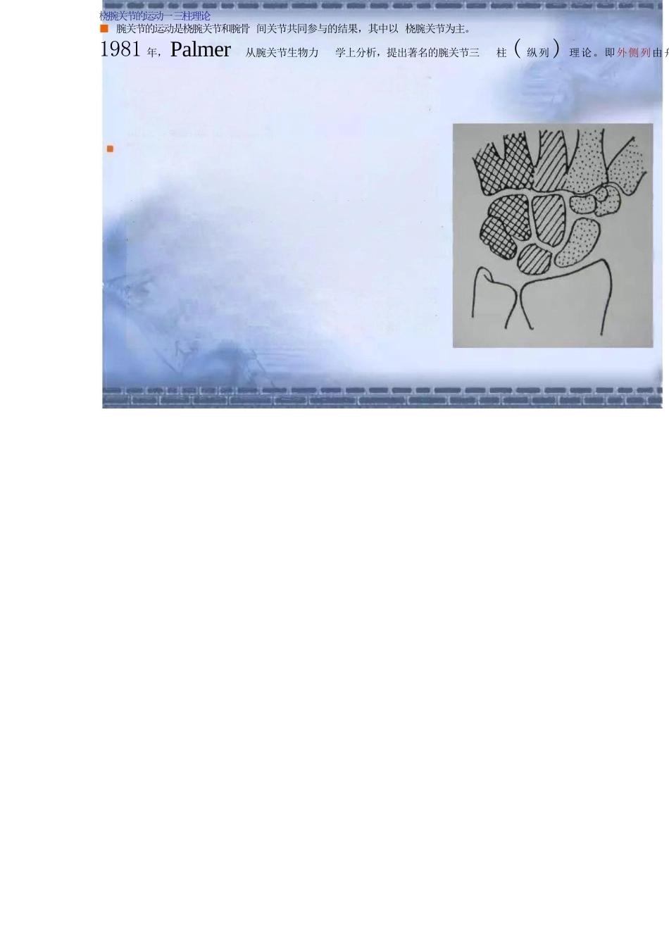 Colles骨折的分型及治疗_第11页
