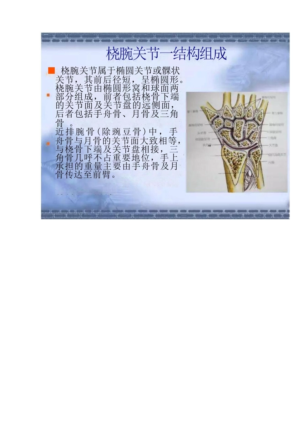Colles骨折的分型及治疗_第4页
