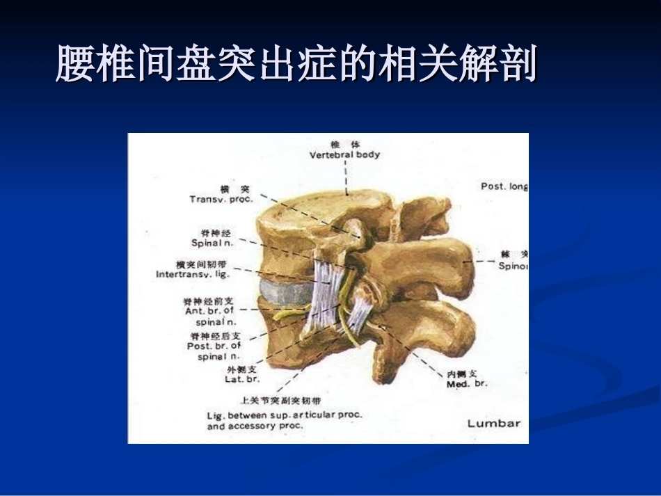 腰椎间盘突出症的诊断、鉴别诊断与分型_第3页