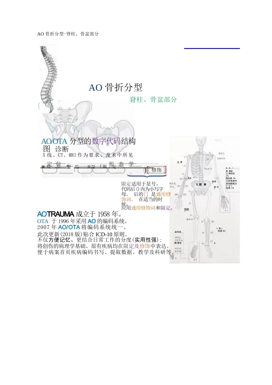 AO骨折分型-脊柱、骨盆部分_第1页