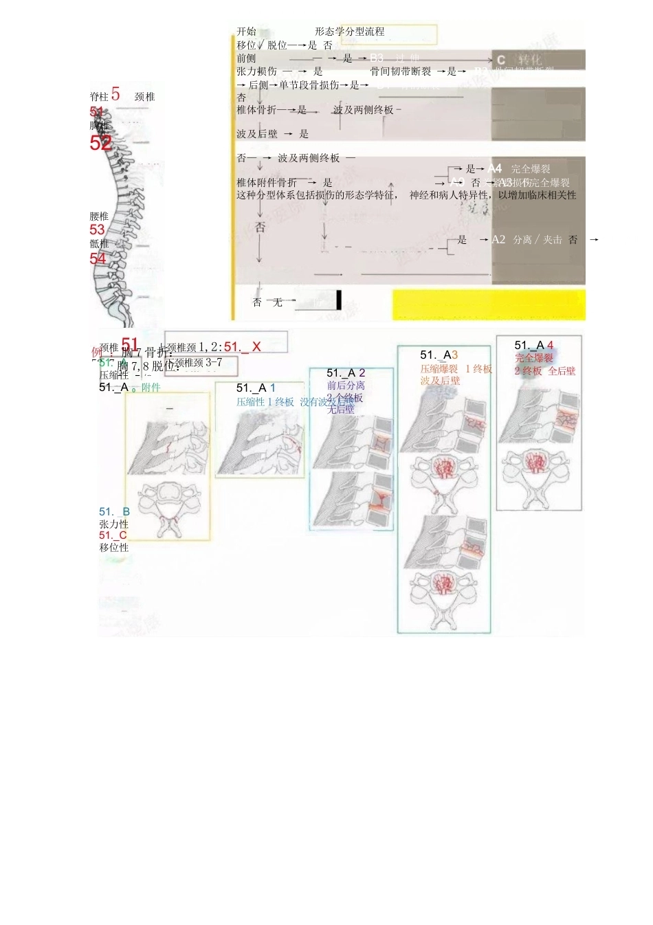 AO骨折分型-脊柱、骨盆部分_第2页