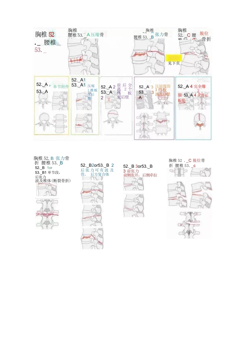 AO骨折分型-脊柱、骨盆部分_第4页
