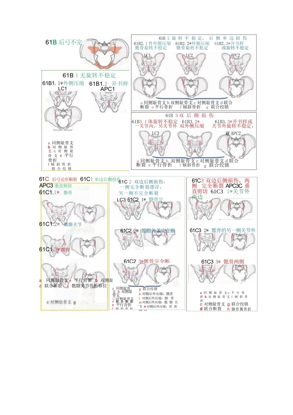 AO骨折分型-脊柱、骨盆部分_第6页