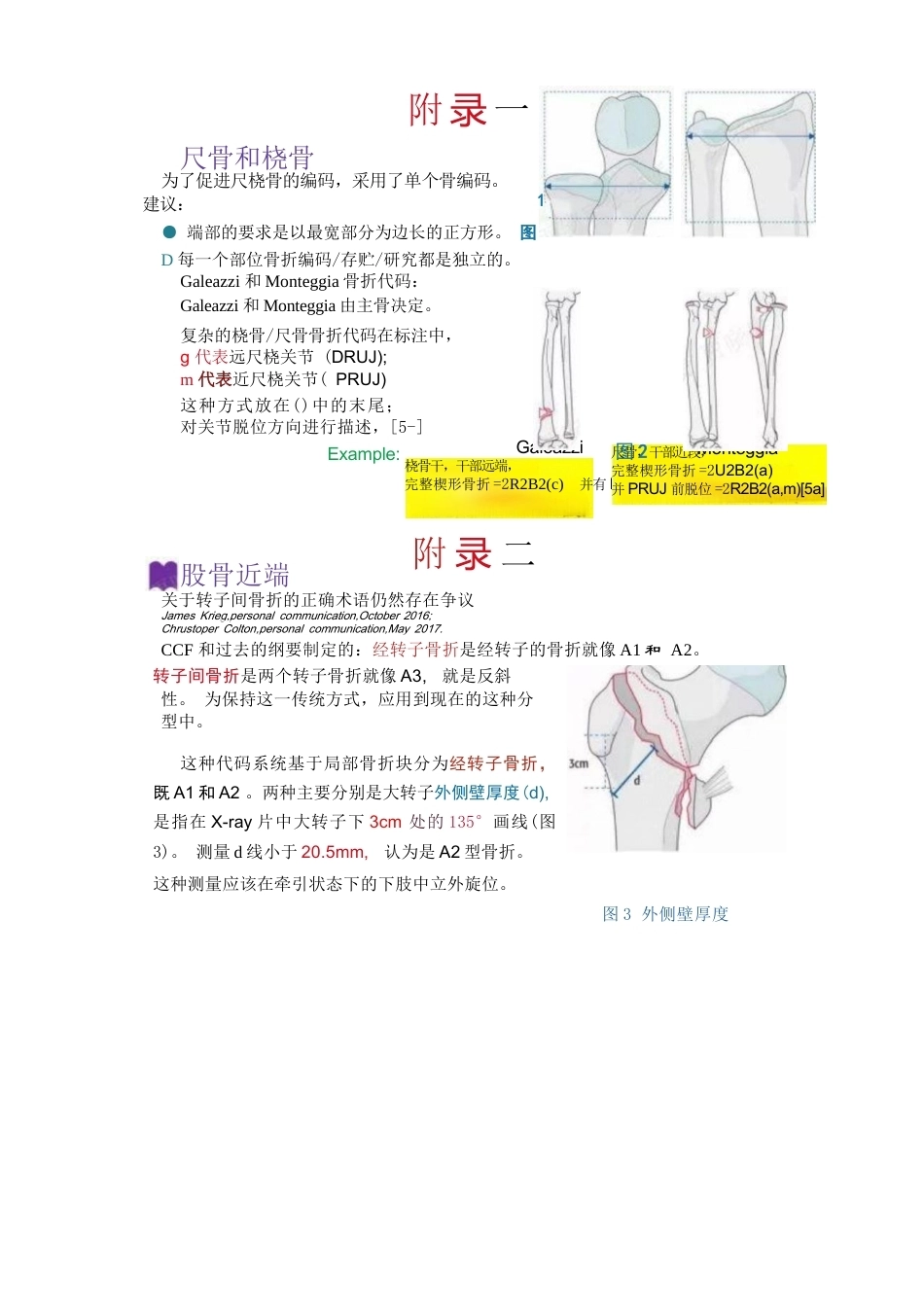 AO骨折分型-脊柱、骨盆部分_第8页