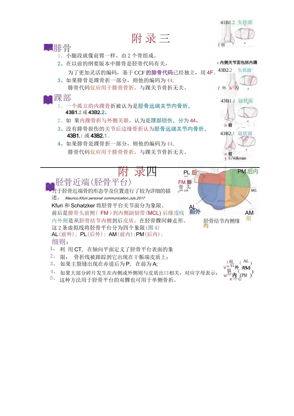 AO骨折分型-脊柱、骨盆部分_第9页